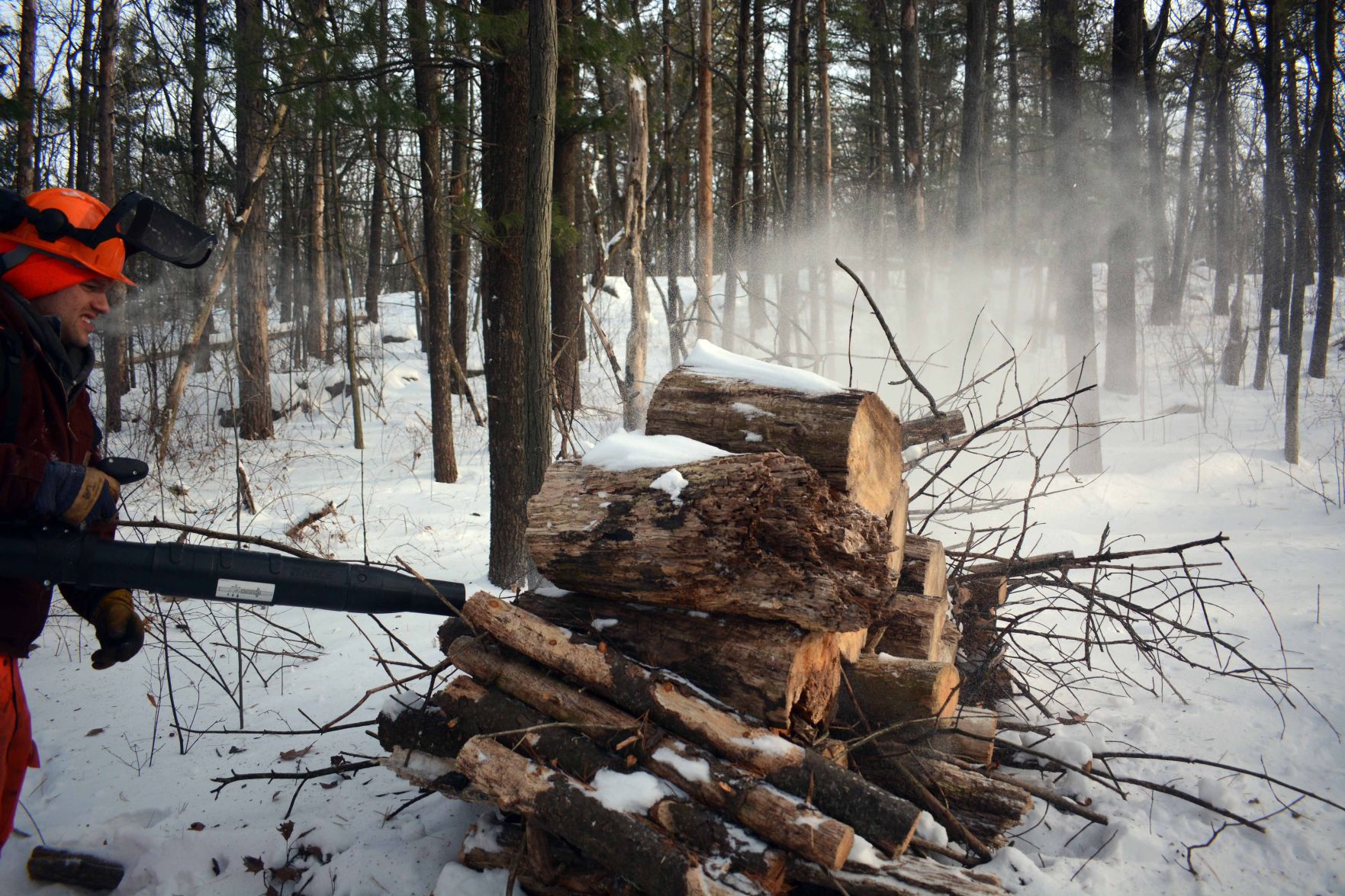 Devil's Lake east bluff stewardship work